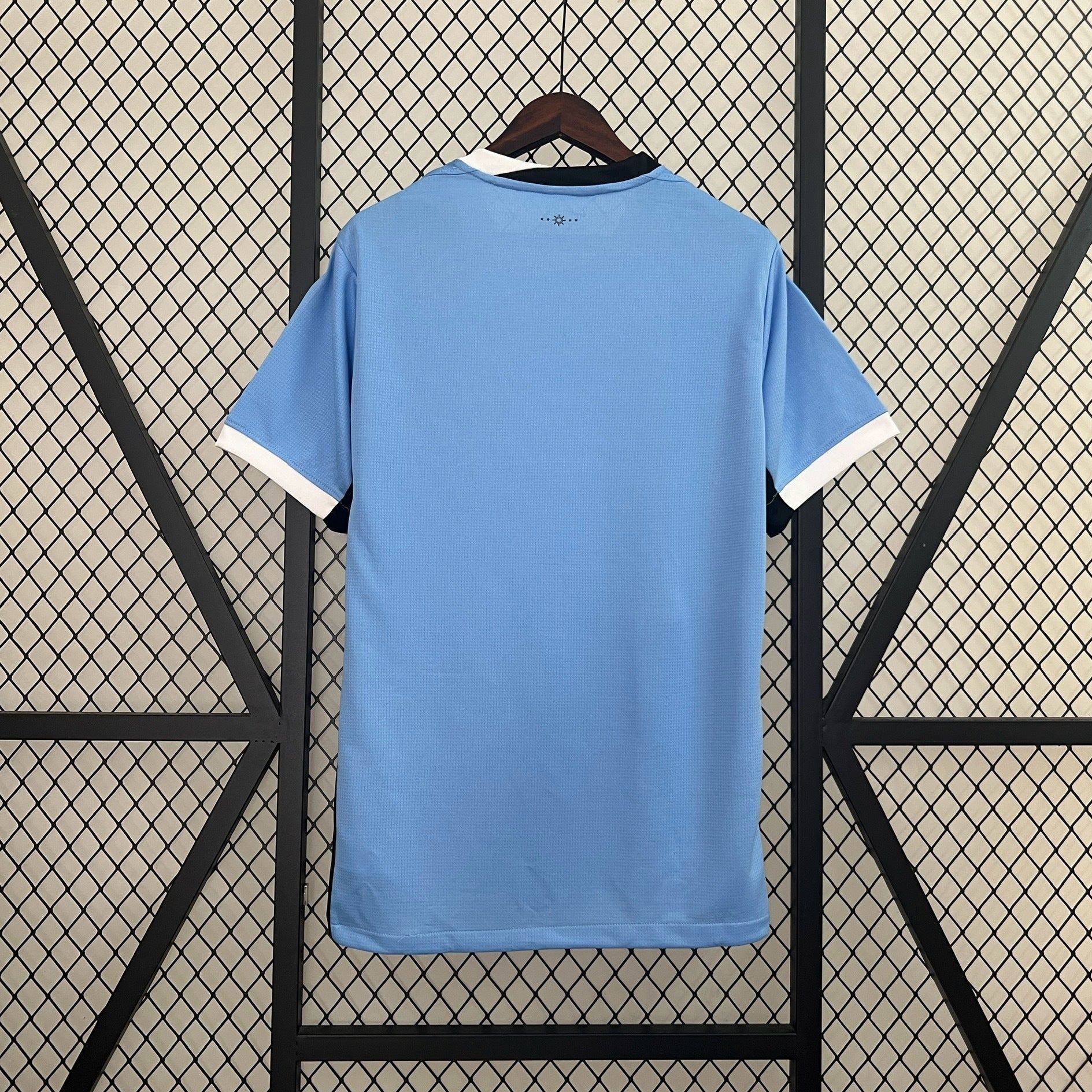 Uruguay 1ª Equipación