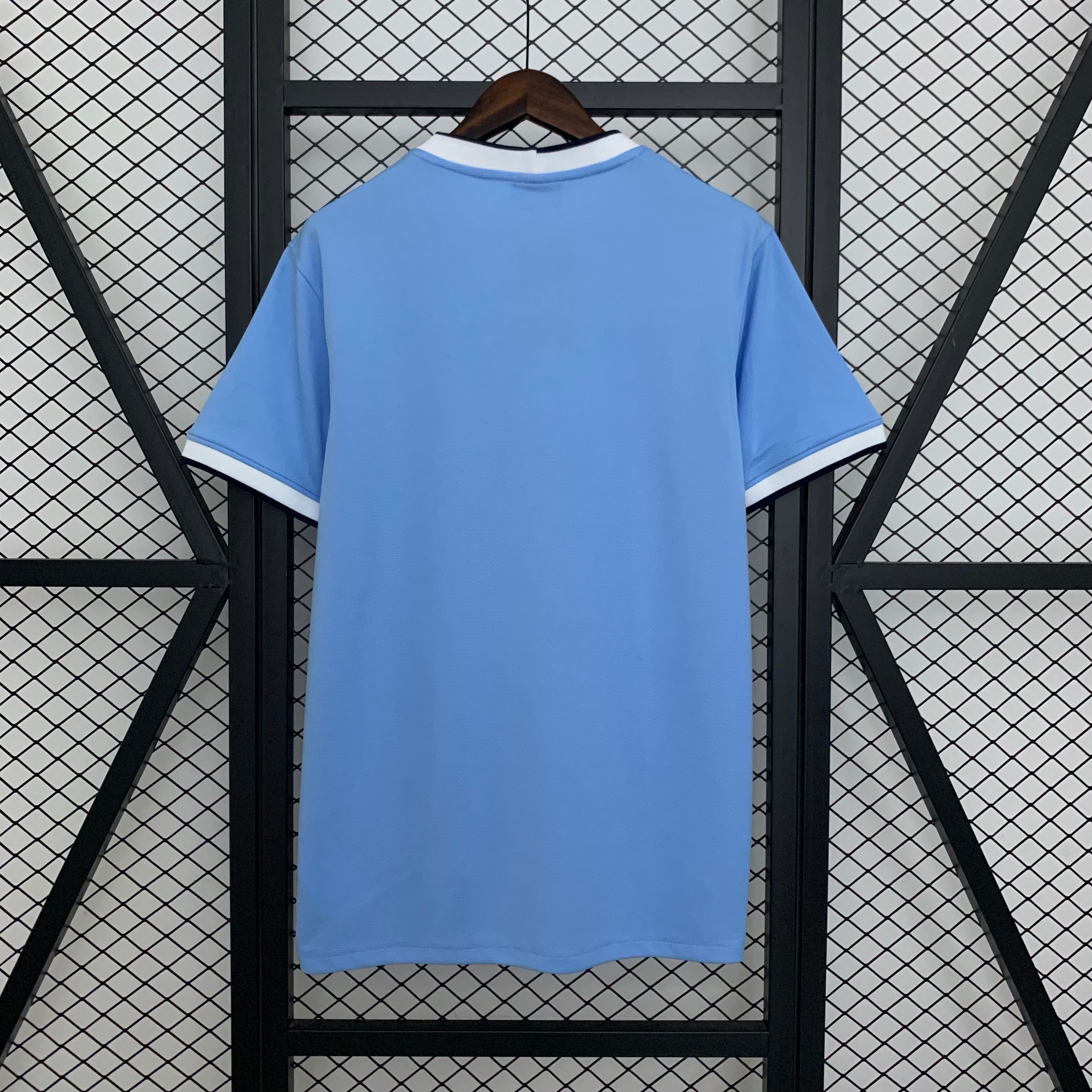 Manchester City 2013-2014
