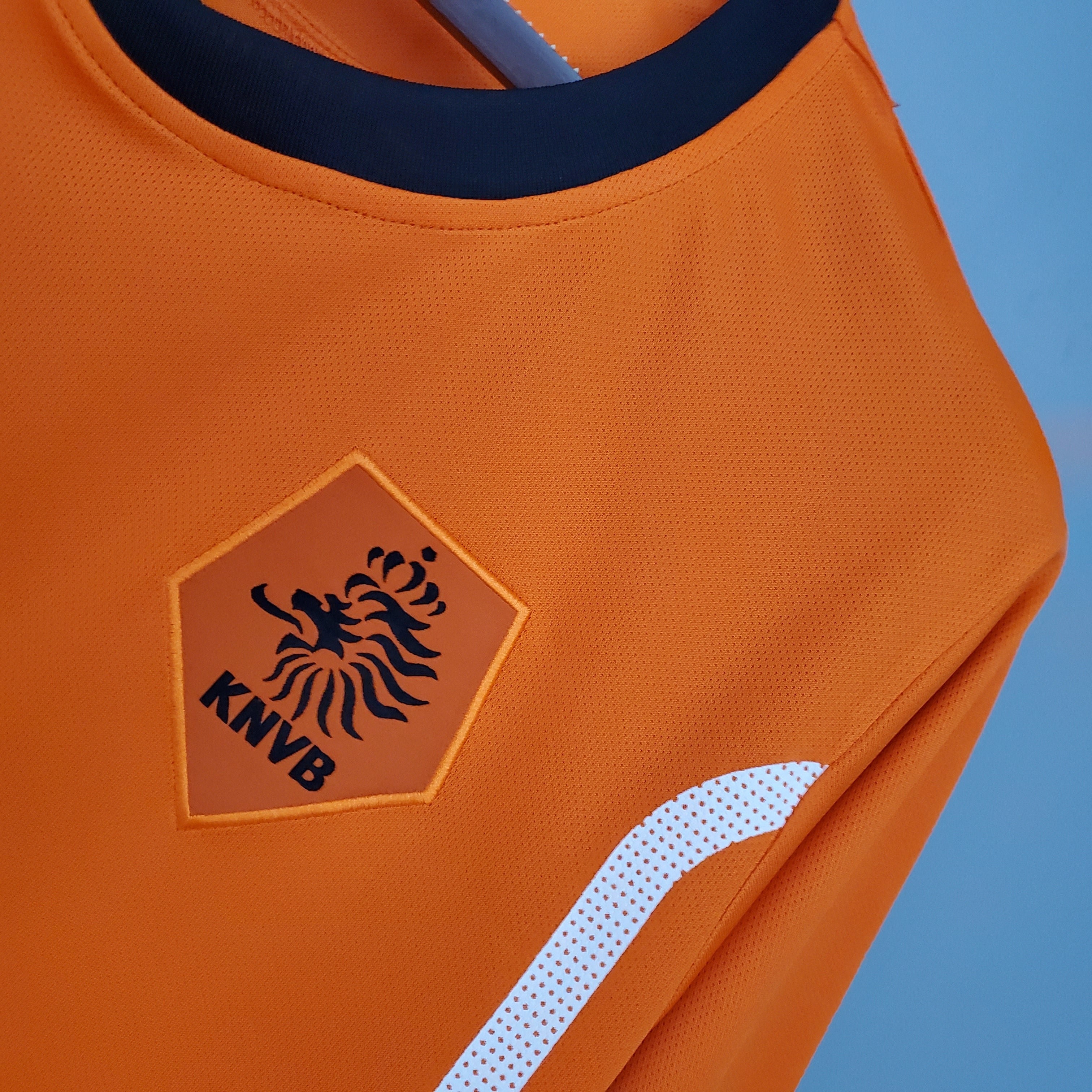 Holanda 2010